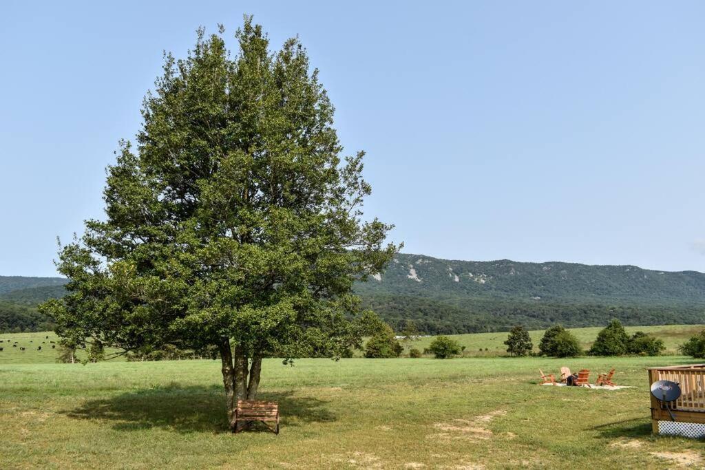 Holly Tree Retreat Located In Beautiful Luray, Va. Villa Exterior photo