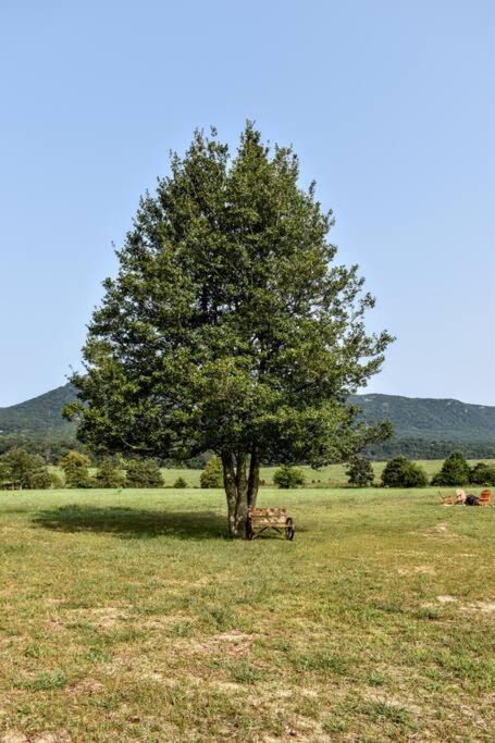 Holly Tree Retreat Located In Beautiful Luray, Va. Villa Exterior photo