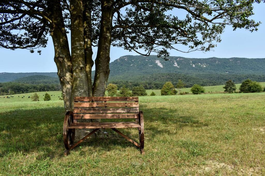 Holly Tree Retreat Located In Beautiful Luray, Va. Villa Exterior photo