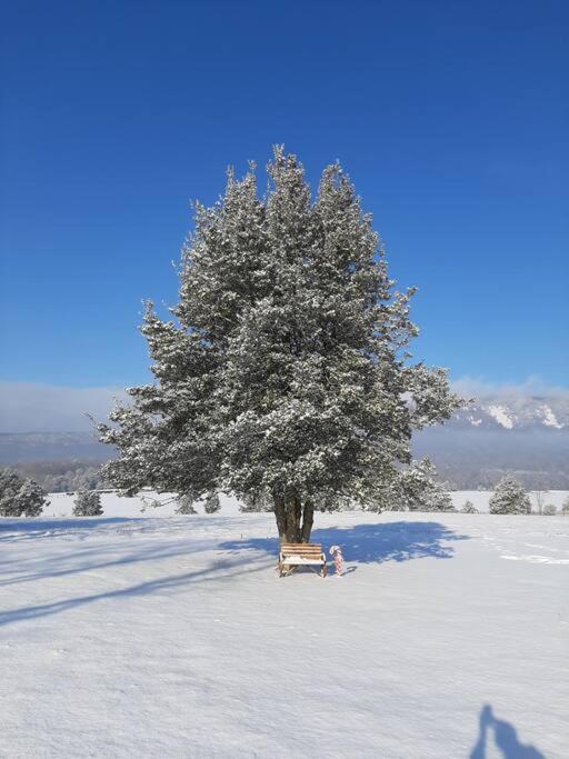 Holly Tree Retreat Located In Beautiful Luray, Va. Villa Exterior photo