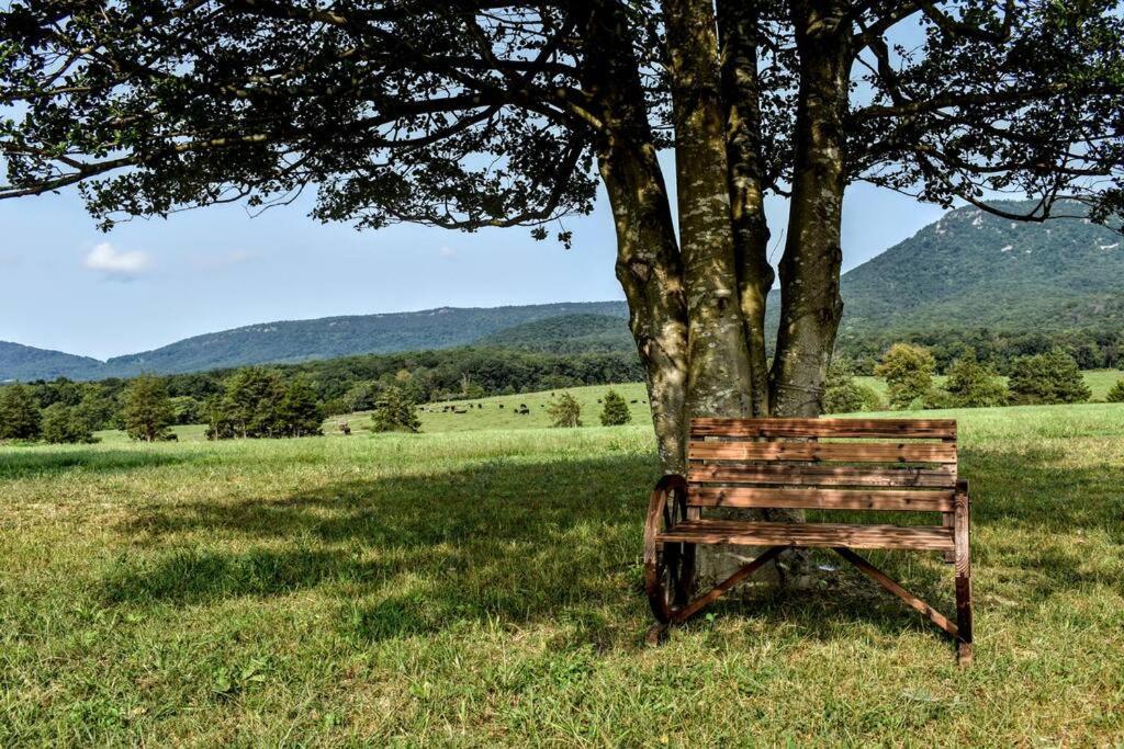 Holly Tree Retreat Located In Beautiful Luray, Va. Villa Exterior photo